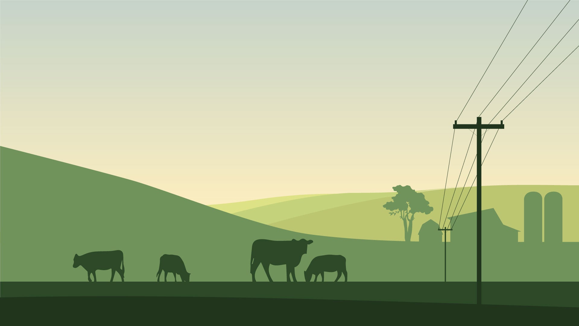 Header Hero Cows Powerlines - Green