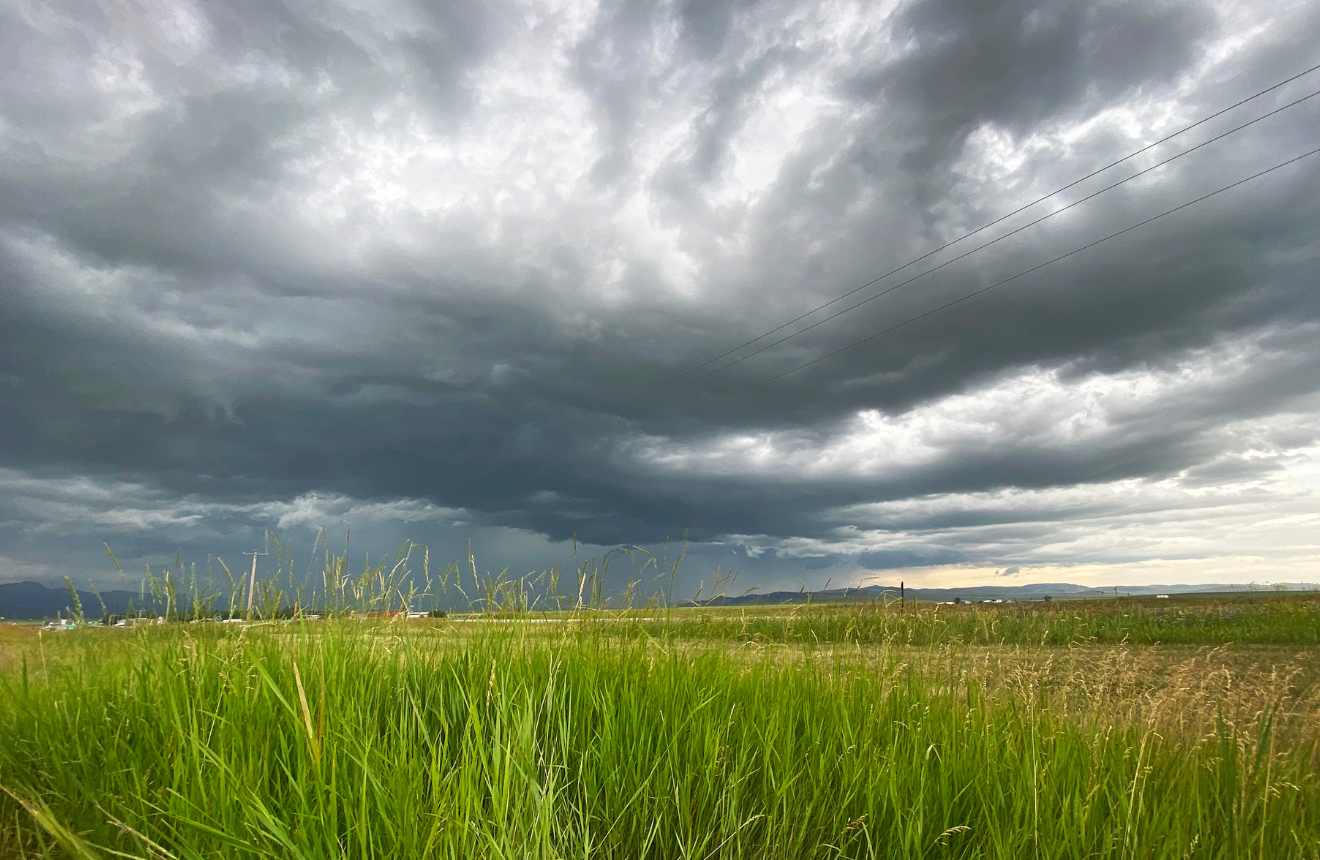 Summer Storm