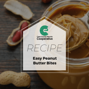 Easy Peanut Butter Bites