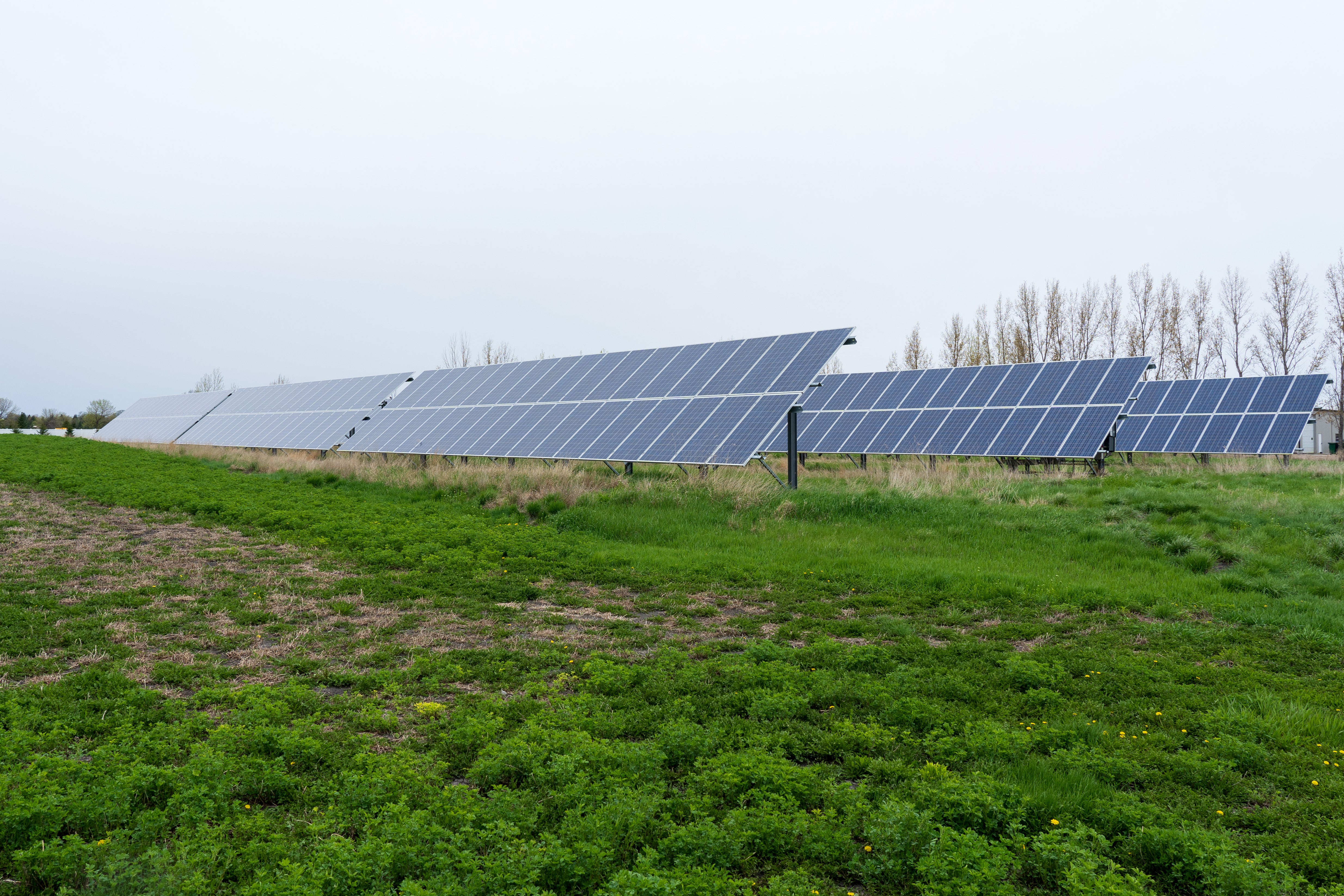Community solar