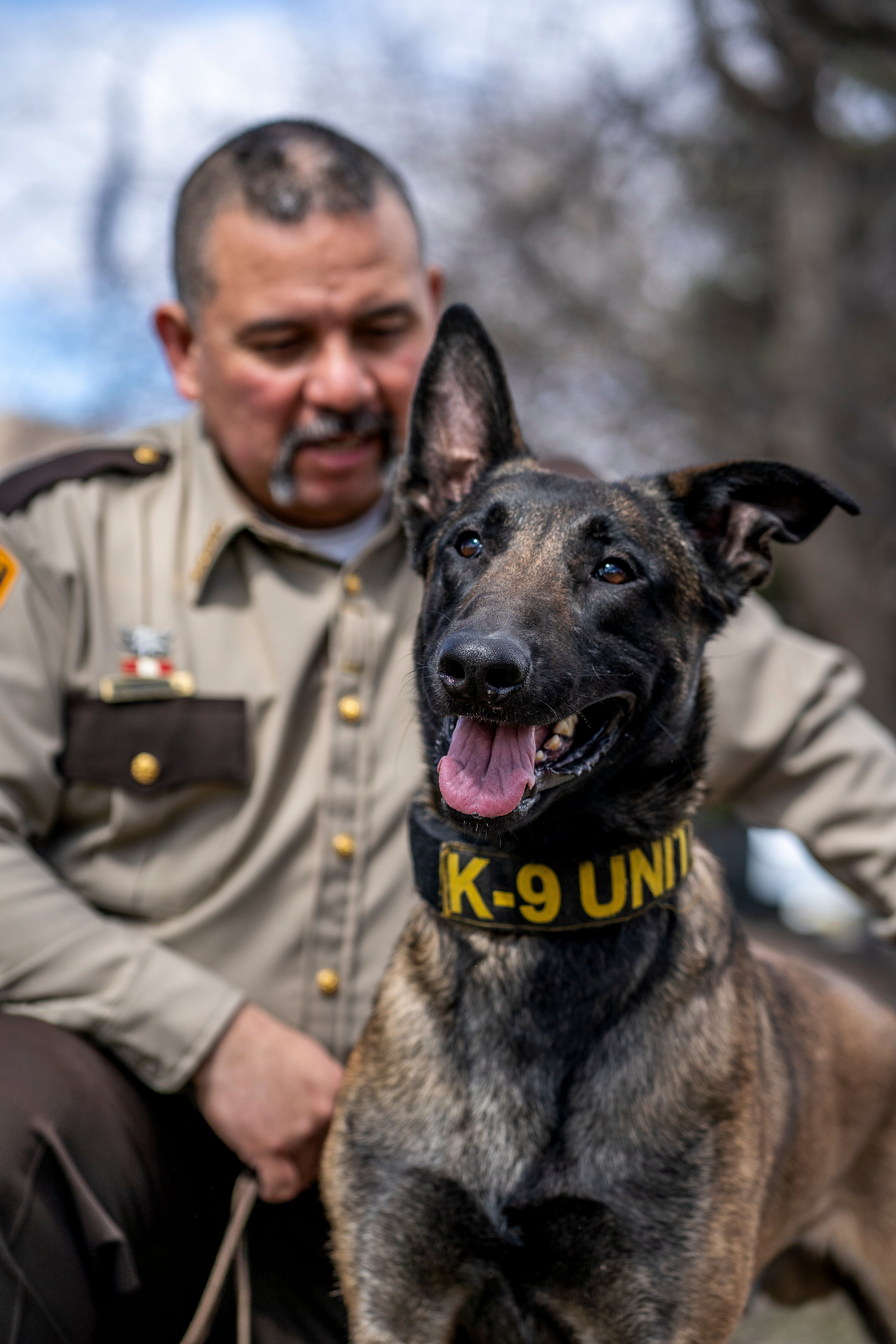 K9 Max with his uniform on