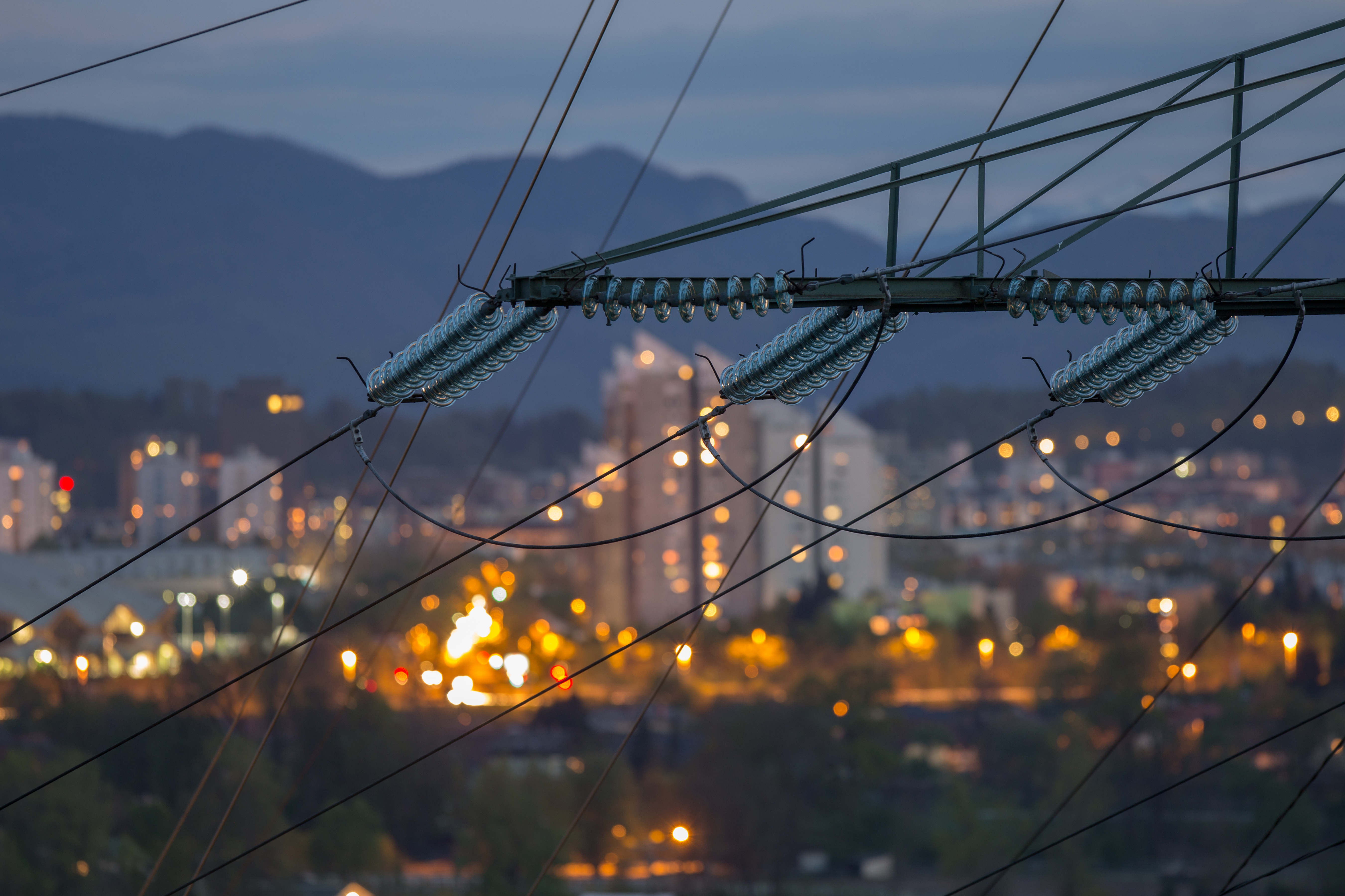 Power grid