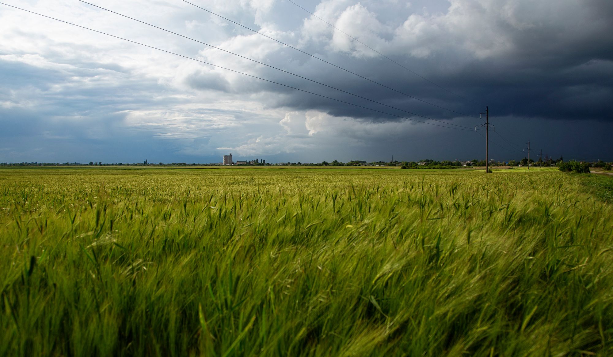 Storm