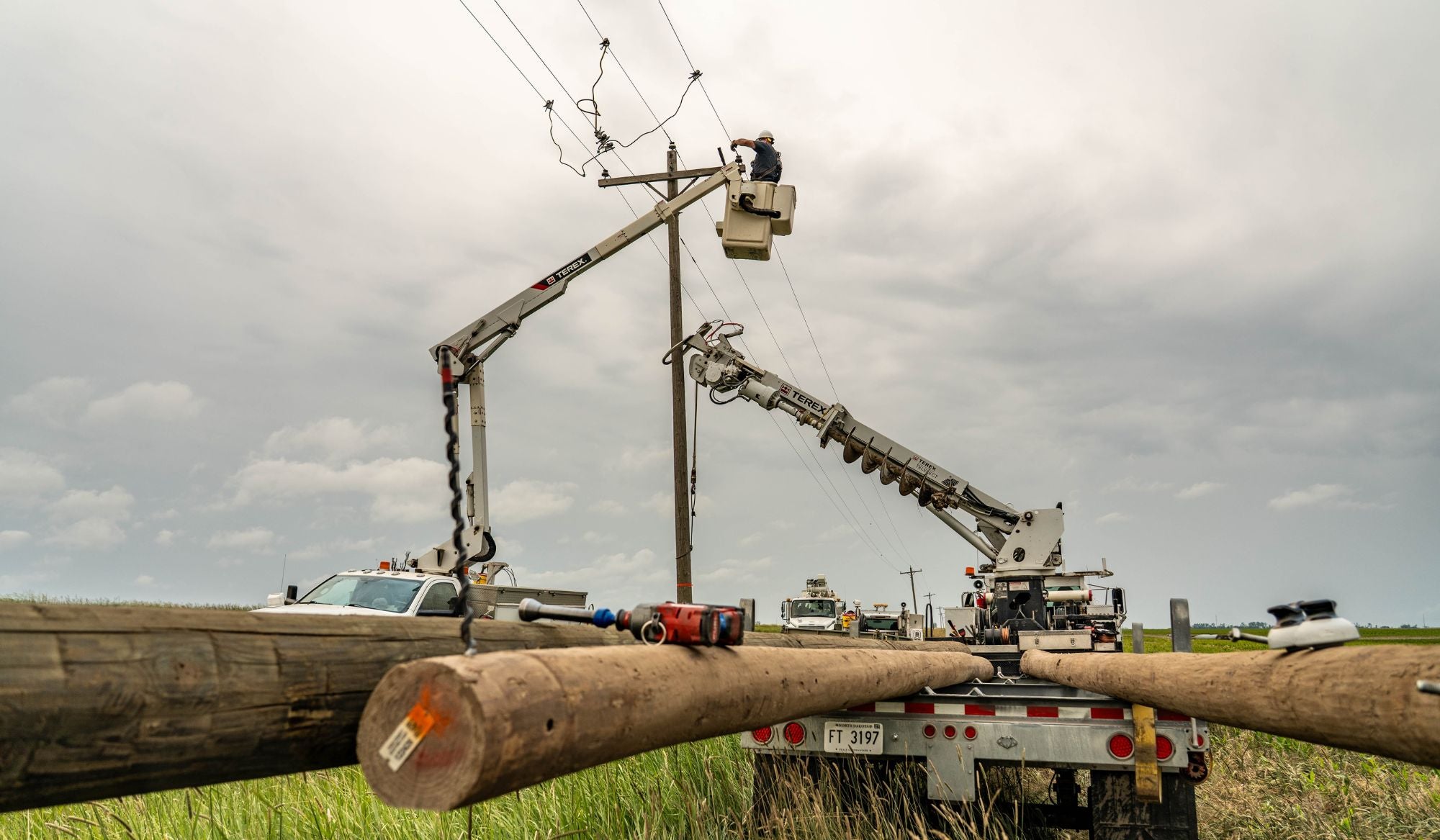 Lineman