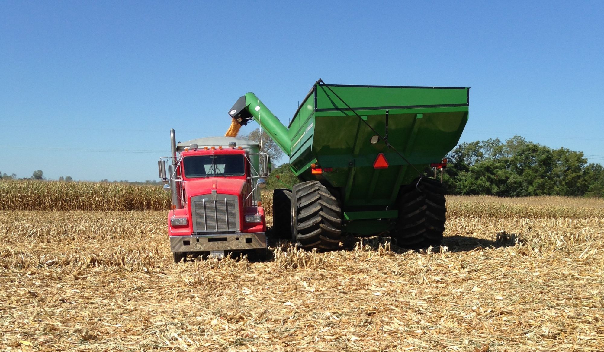 Harvest