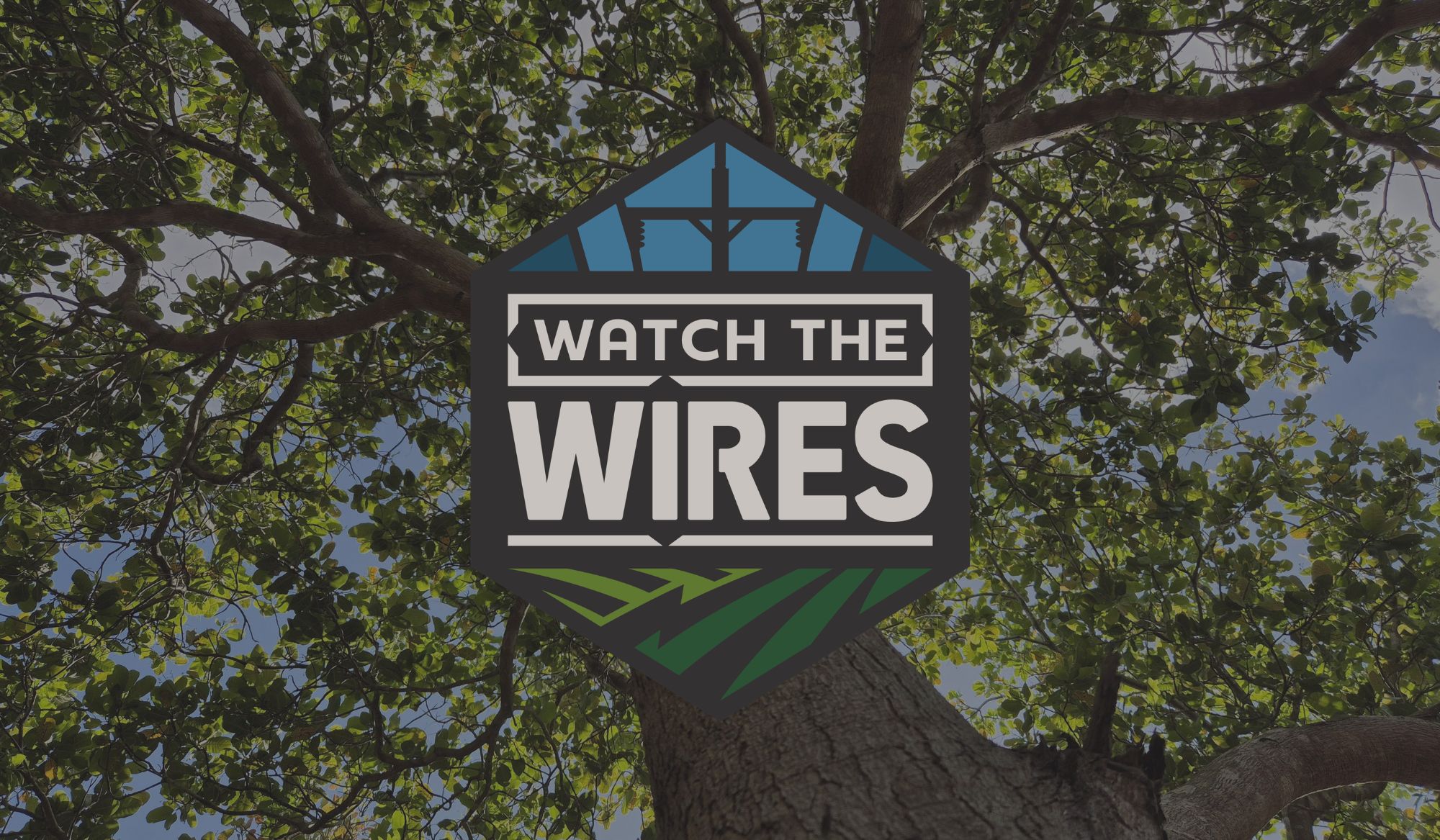 Watch the Wires