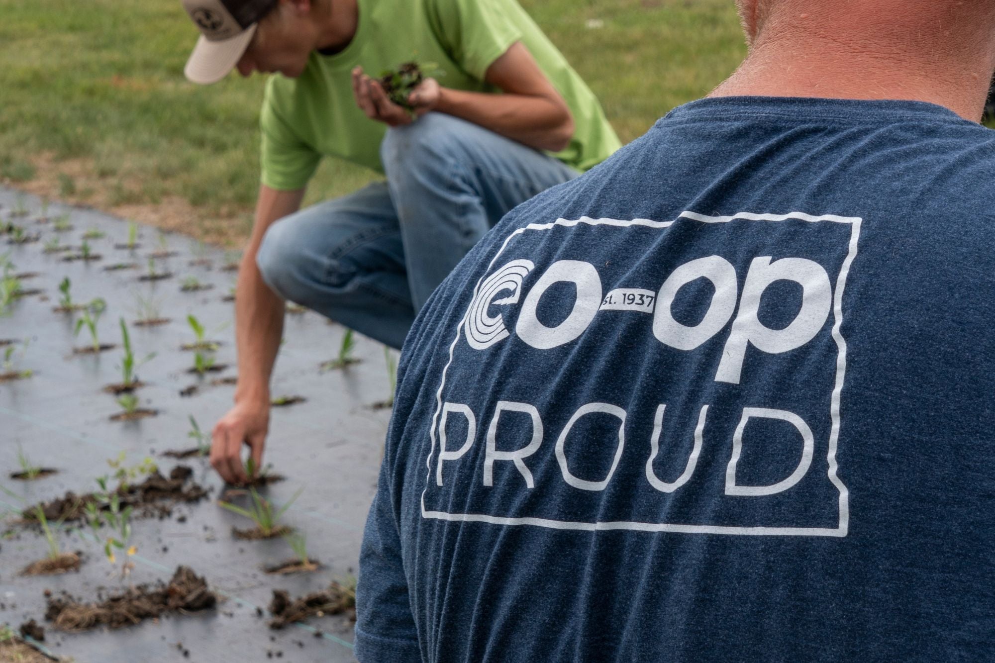 Co-op