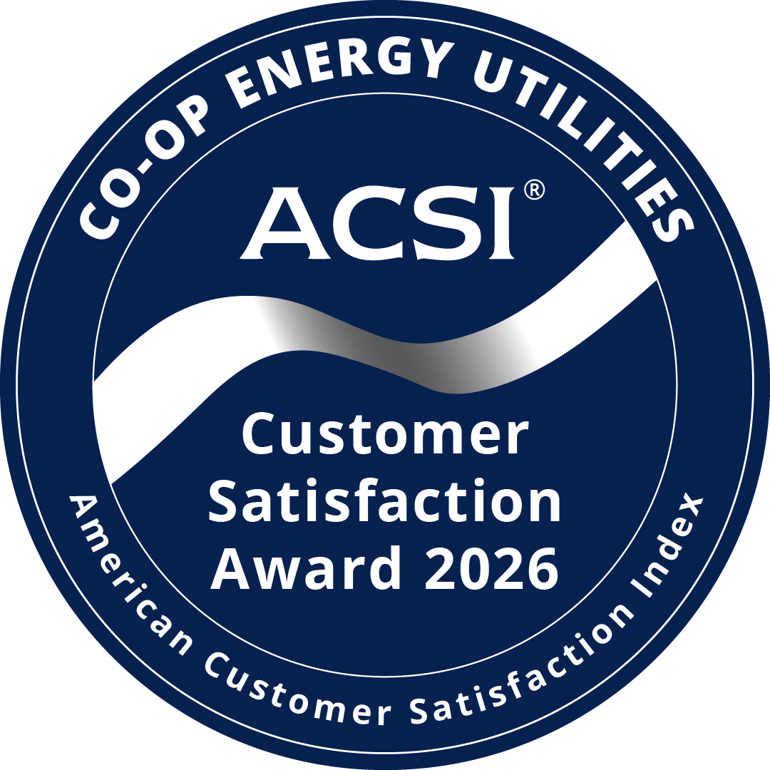 2026 ACSI Customer Satisfaction Award