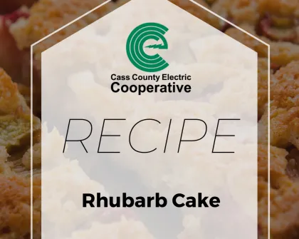 Rhubarb Cake