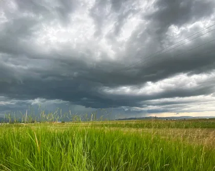 Summer Storm