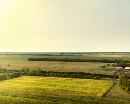farm