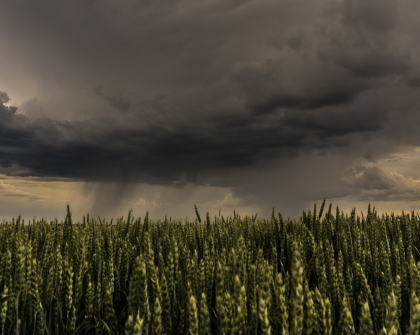Storm