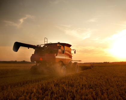 Harvest