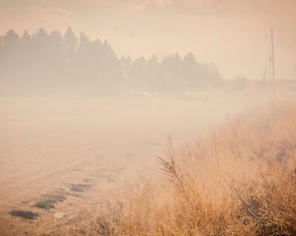 Wildfire