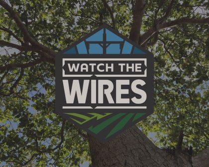 Watch the Wires